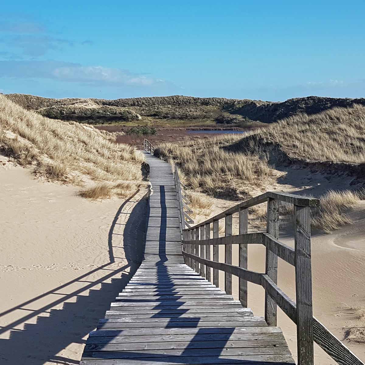 Amrum_Duenen