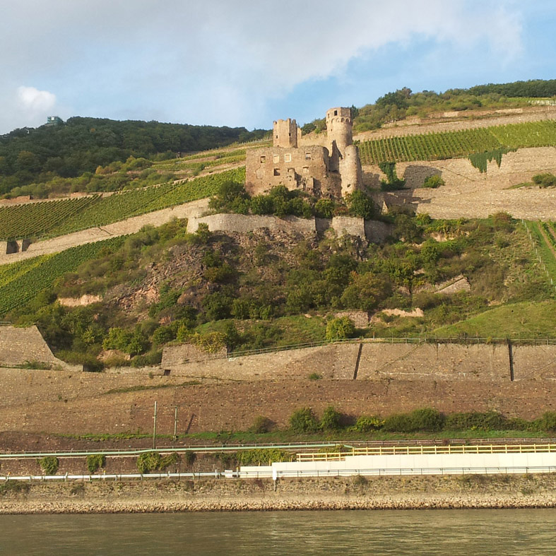 Blick auf die Burgruine Ehrenfels Blick auf die Burgruine Ehrenfels