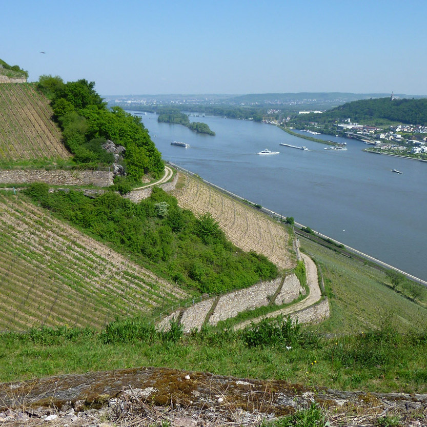 Blick auf die Burgruine Ehrenfels_qu