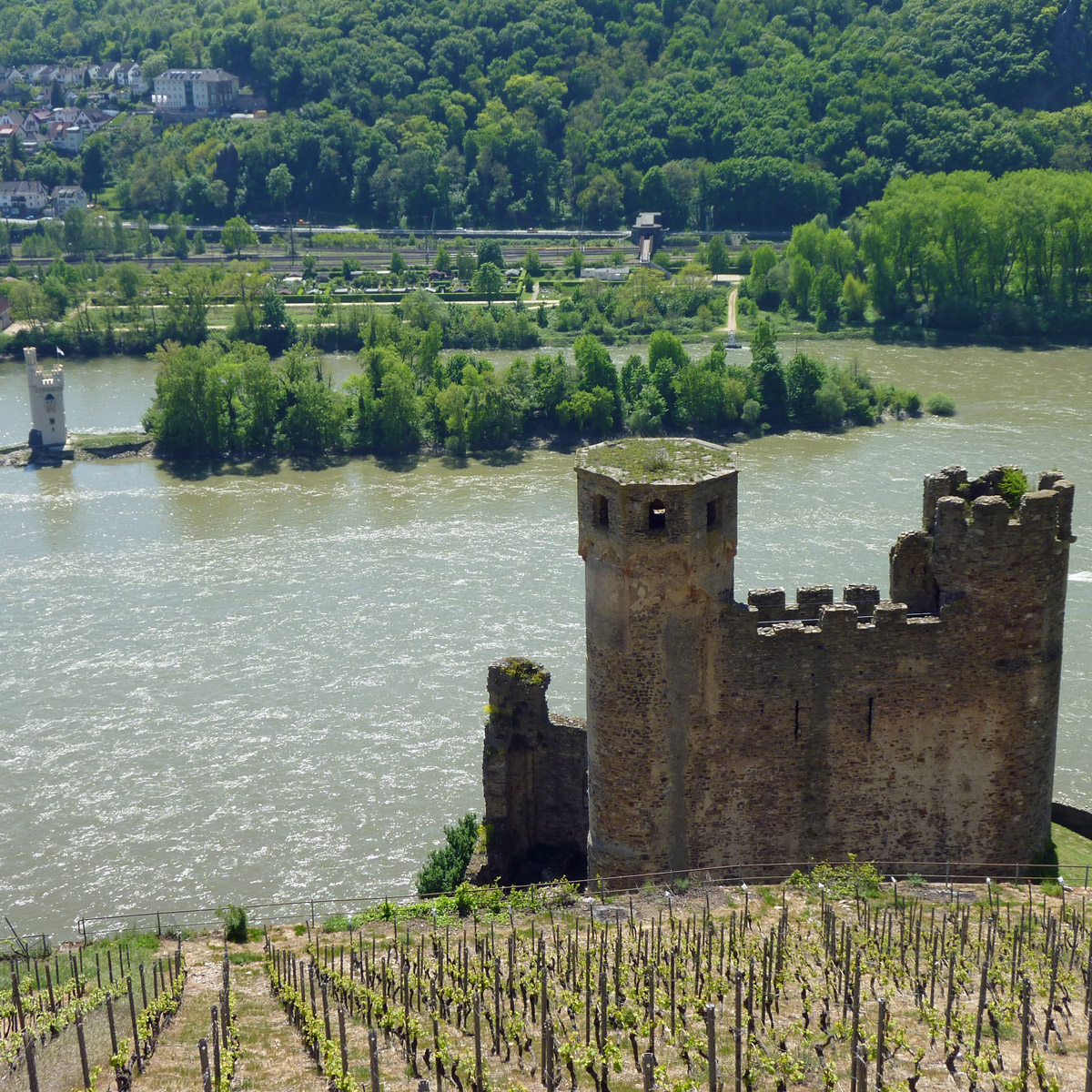 Burgruine Ehrenfels_Blick Mäuseturm Burgruine Ehrenfels_Blick Mäuseturm
