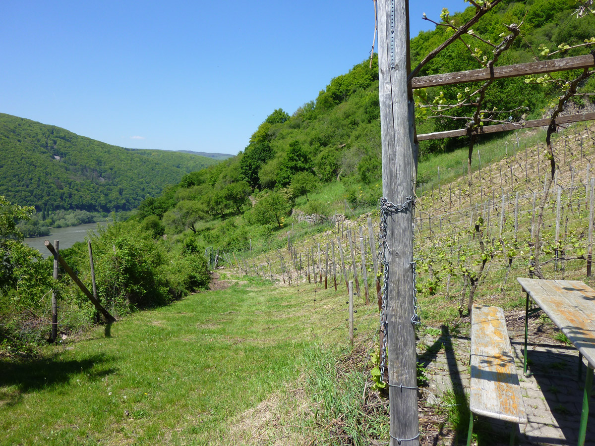 RUED_Rastplatz Ehrenfels RUED_Rastplatz Ehrenfels