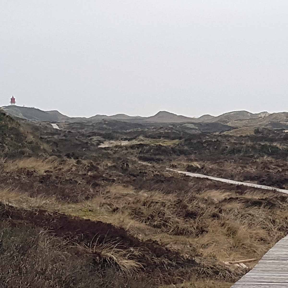 Amrum_Duenen Querbarke