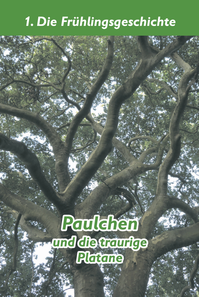 Paulchen_Platane