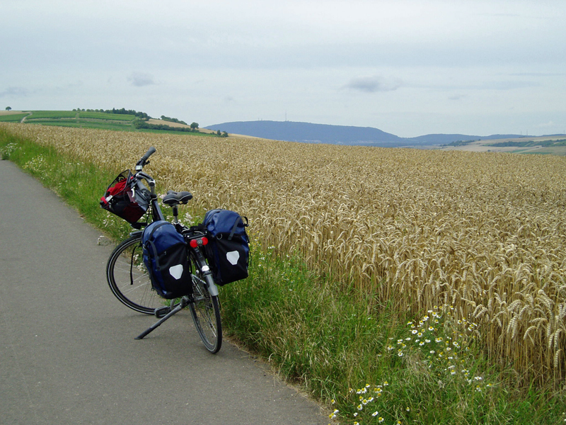 Rheinhessen_Rad